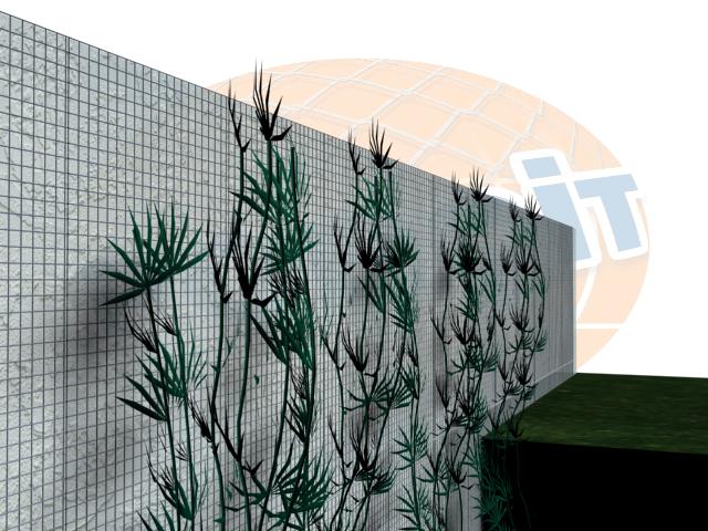 Suporturi pentru Plante - imagine 3